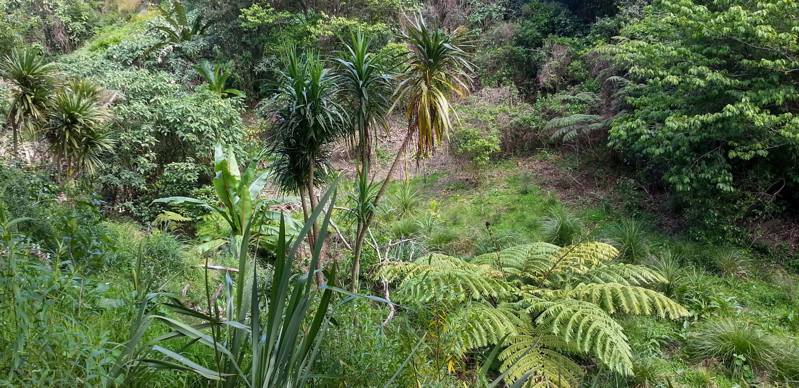 Community-led restoration of Middleton Stream