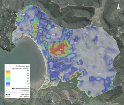 Casp Density Map