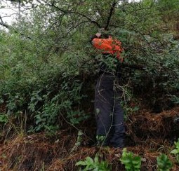 Ecological Assessment